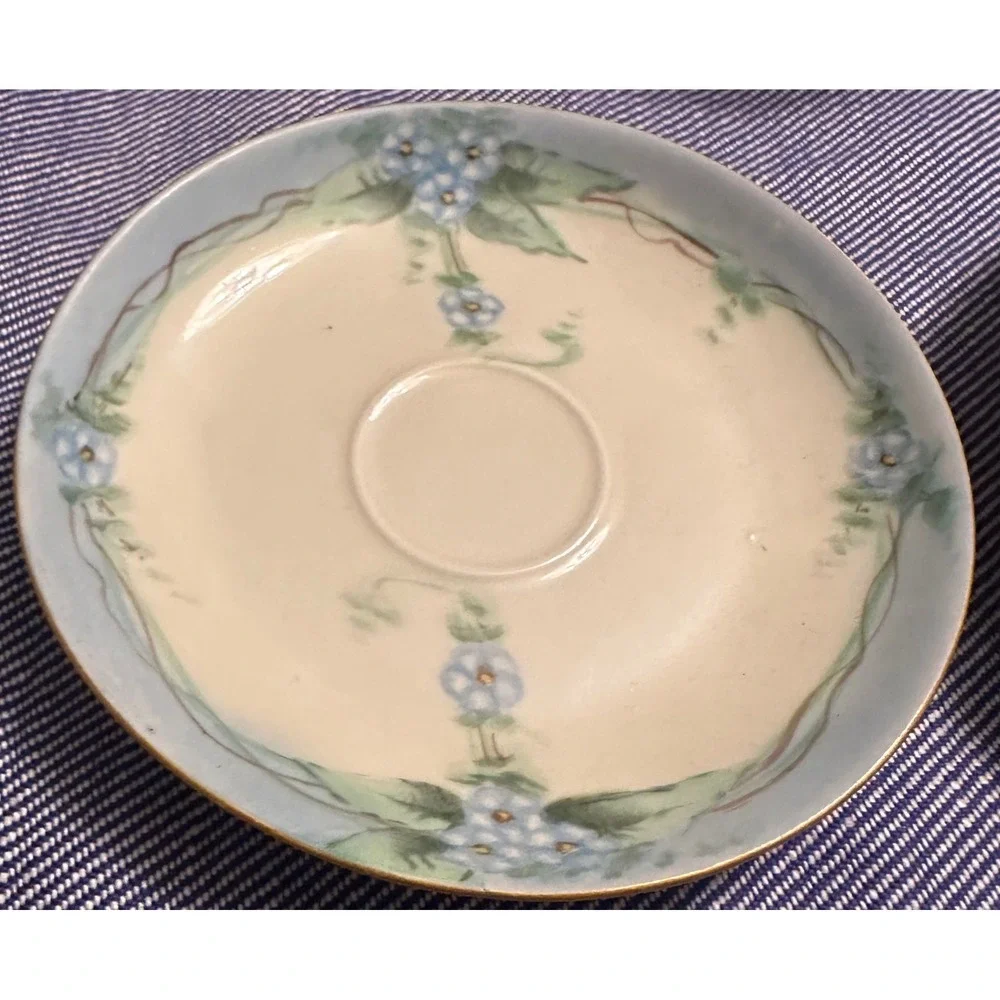 Richard Ginori Italy Hand Painted Forget Me Not Floral Tea Cup‎ Saucer